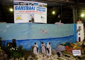Gansbaai Fynbosspan in Bredasdorp